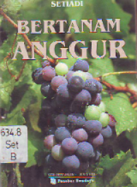 Image of Bertanam Anggur