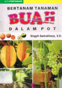 Image of Bertanam Tanaman Buah Dalam Pot