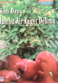 Image of Budi Daya Jambu Air Kaget Delima